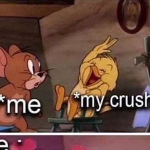 Meet your Posher, Iris